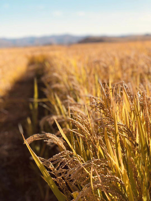 1858815946_副本.jpg 1858815946_副本.jpg