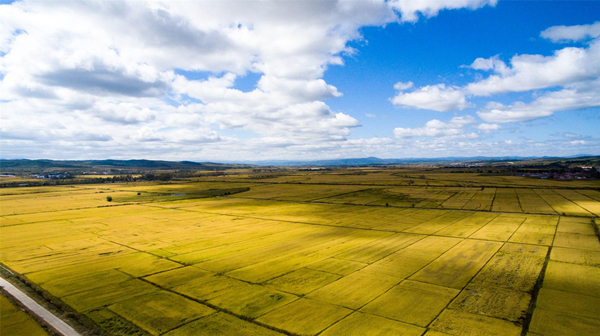 20181019125550_885_副本.jpg 20181019125550_885_副本.jpg